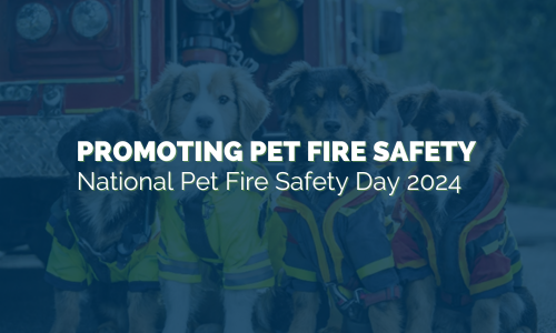 Promoting Pet Fire Safety on National Pet Fire Safety Day 2024