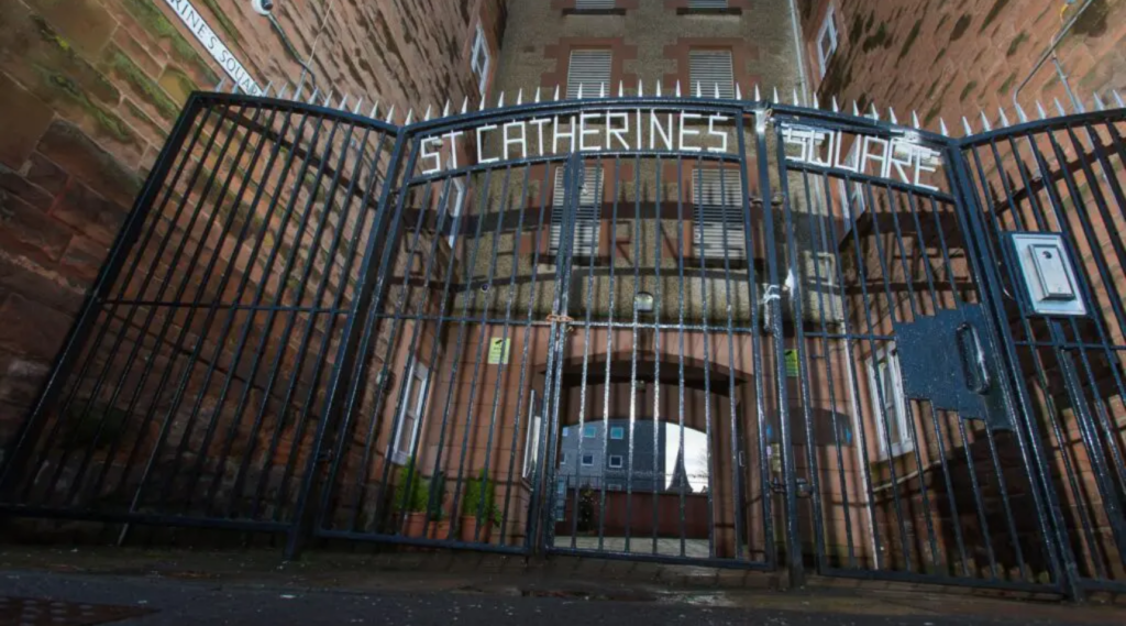 Untitled design (13)