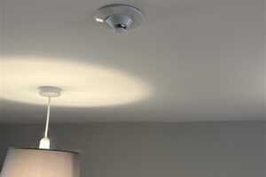 1e25c71f-1927-4967-b8bd-e3ff0080ad3f