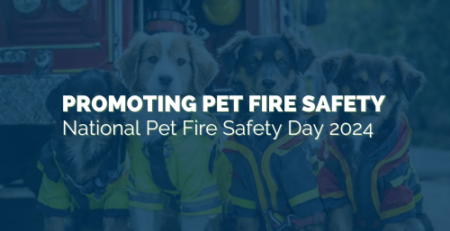 Promoting Pet Fire Safety on National Pet Fire Safety Day 2024